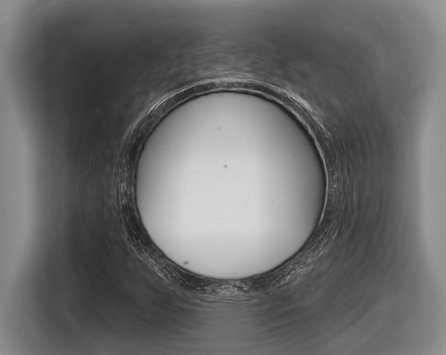 X0000116451255200912081406