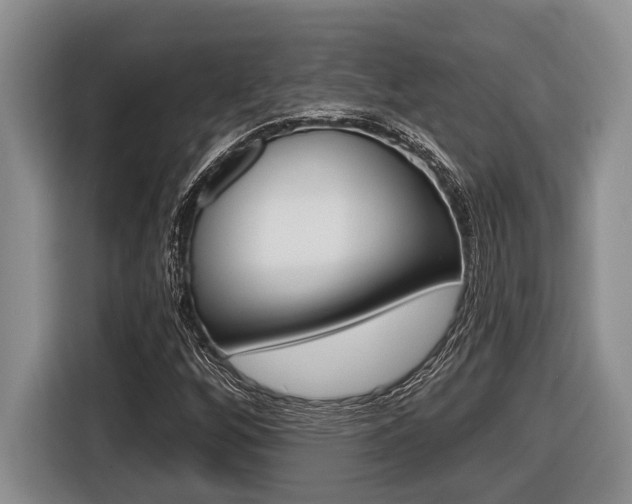 X0000116451256200912081406