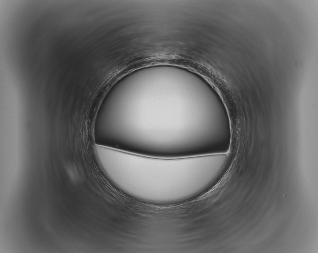 X0000116451257200912081406