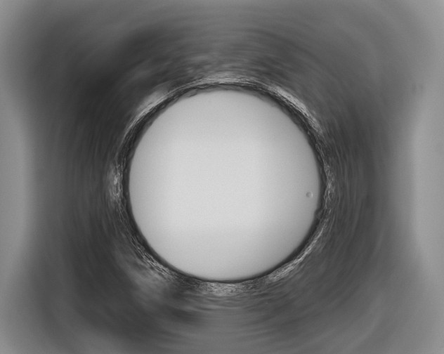 X0000116451258200912081406