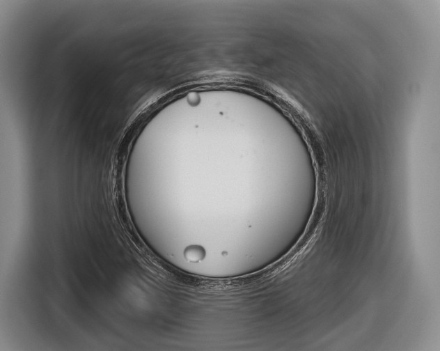 X0000116451259200912081406