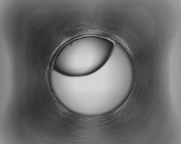 X0000116451260200912081406