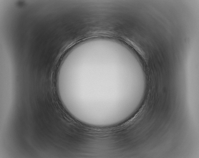 X0000116451261200912081406