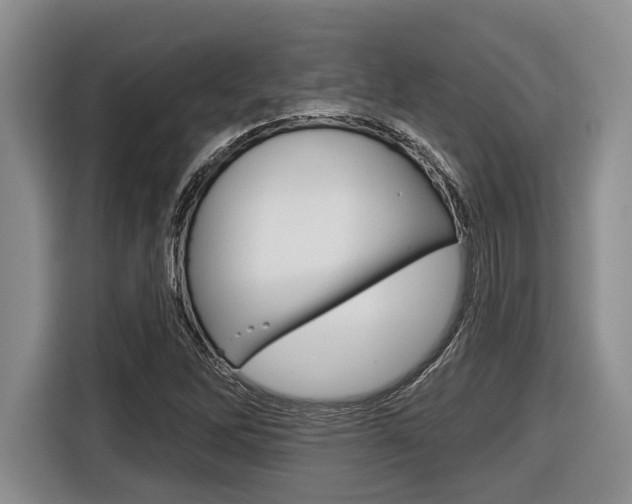 X0000116451262200912081406