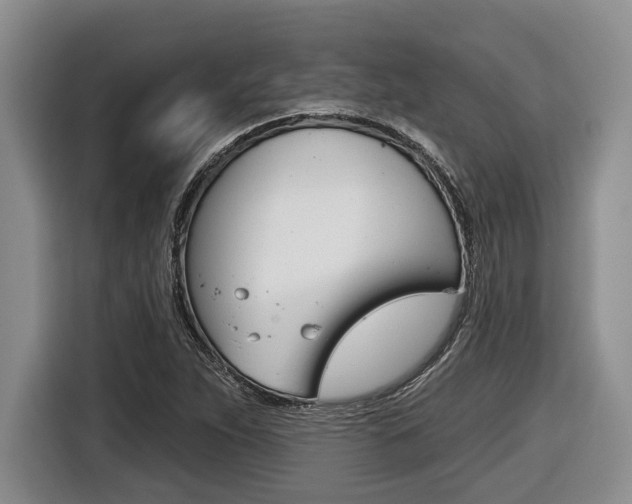 X0000116451263200912081406