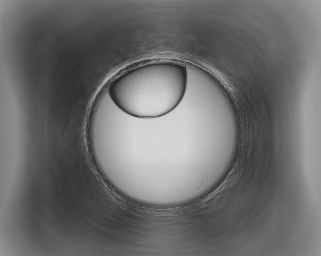 X0000116451264200912081406