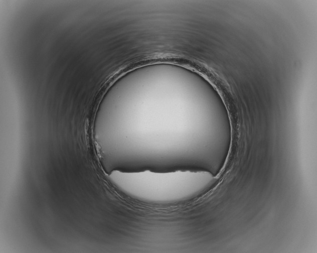 X0000116451265200912081406