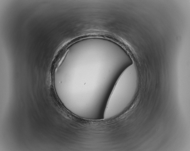 X0000116451267200912081406