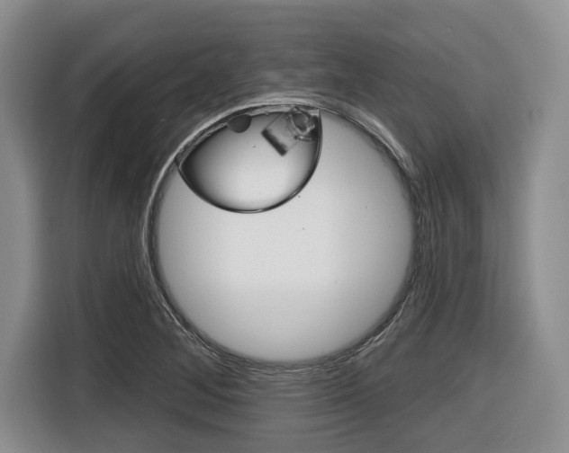 X0000116451268200912081406