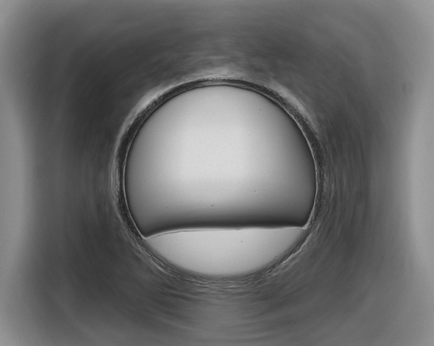 X0000116451270200912081406