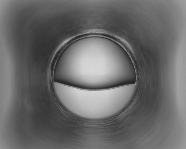 X0000116451271200912081406