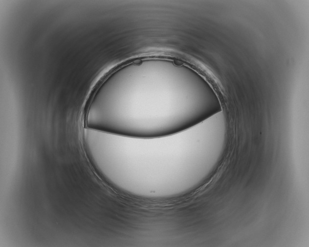 X0000116451275200912081406