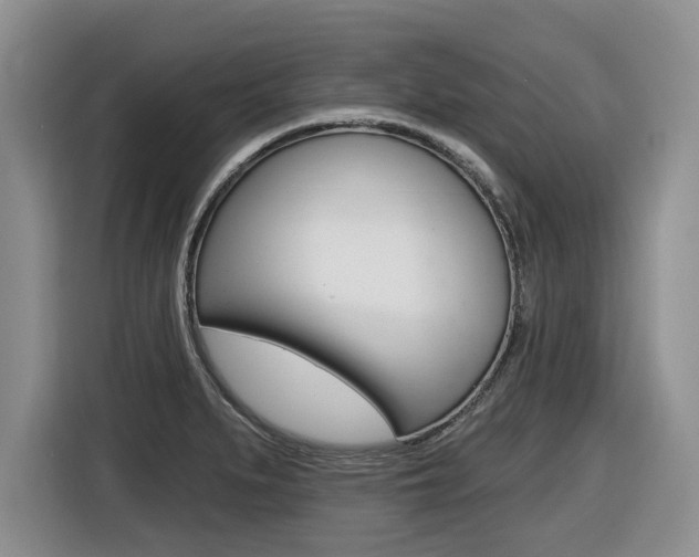 X0000116451279200912081406