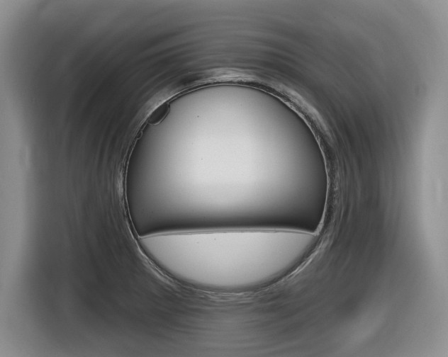 X0000116451281200912081406