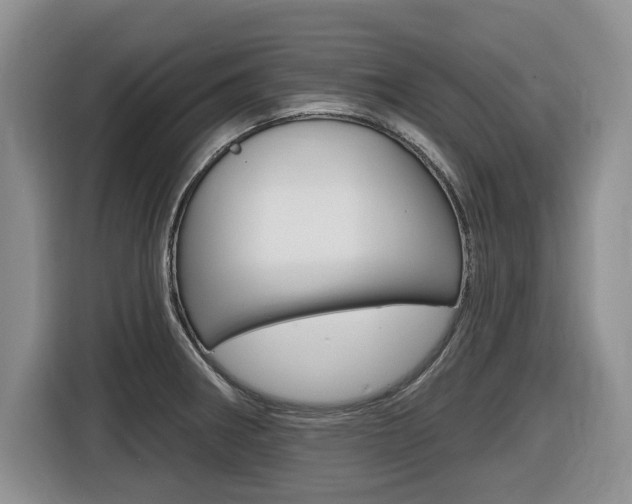 X0000116451282200912081406