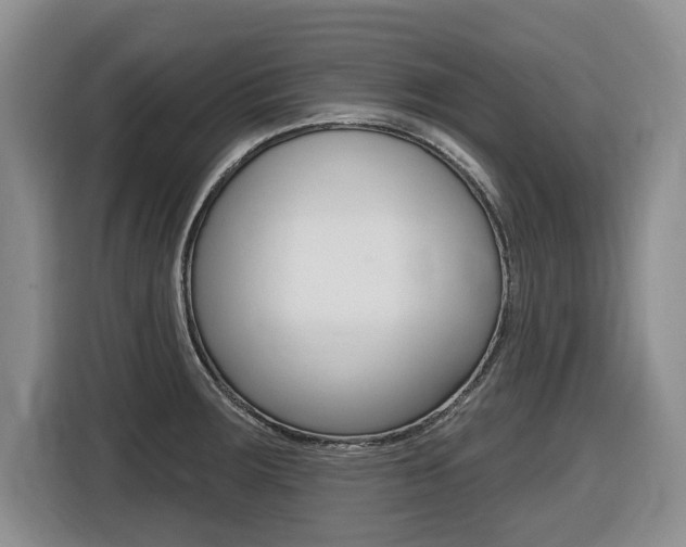 X0000116451283200912081406