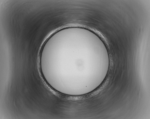 X0000116451286200912081406