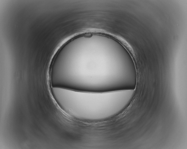 X0000116451287200912081406