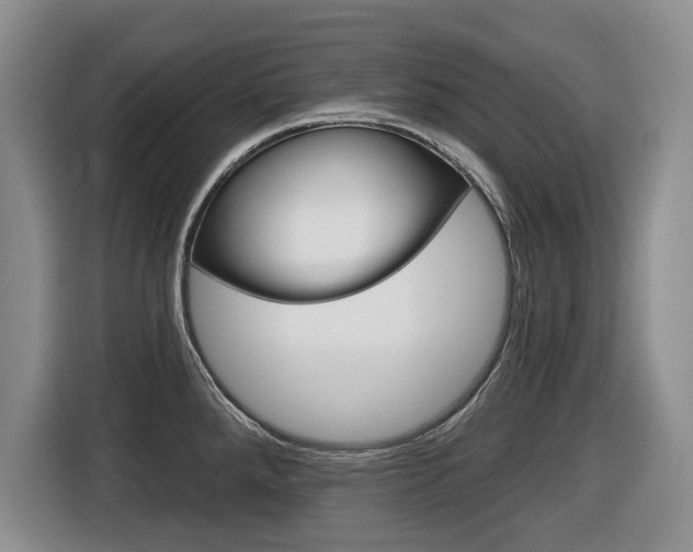 X0000116451288200912081406
