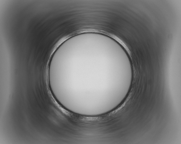X0000116451290200912081406