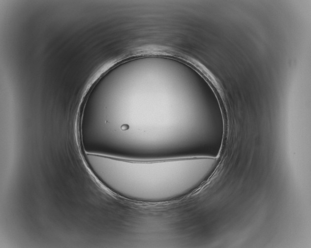 X0000116451293200912081406