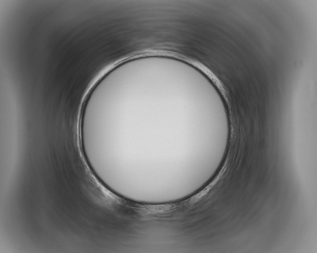 X0000116451294200912081406