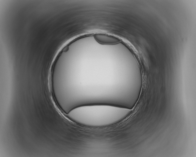 X0000116451295200912081406