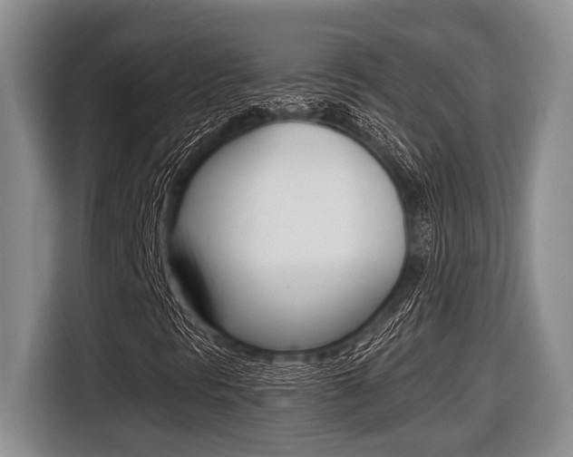 X0000116451297200912081405