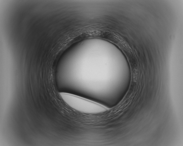 X0000116451298200912081405
