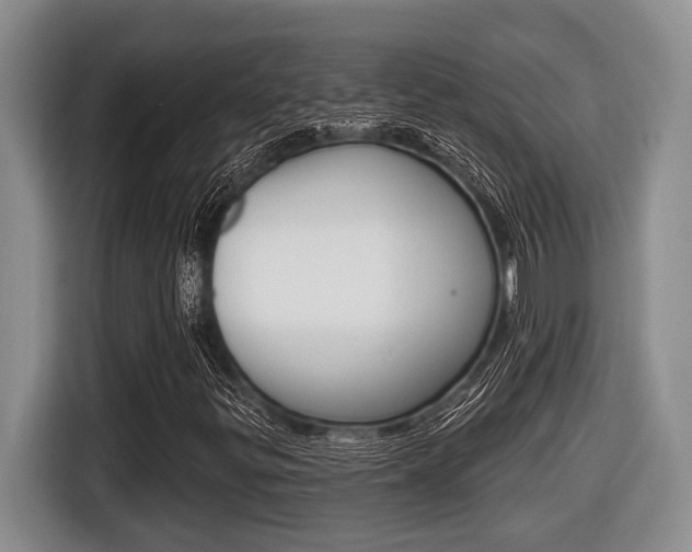 X0000116451299200912081405