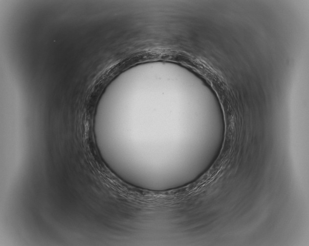 X0000116451302200912081405