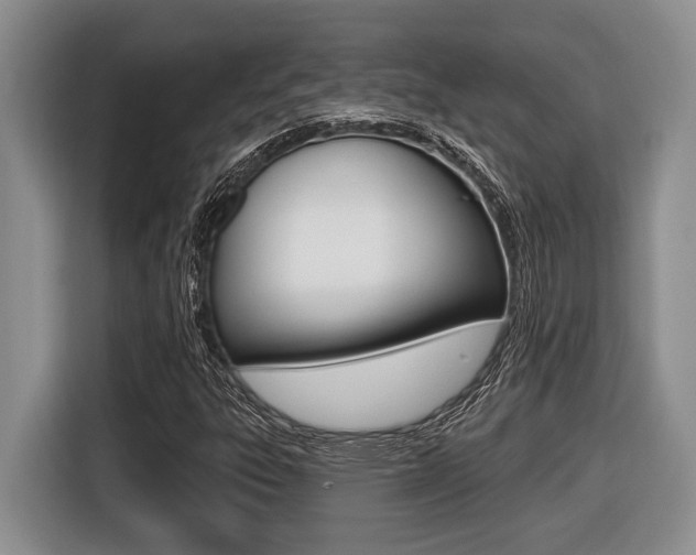 X0000116451303200912081405