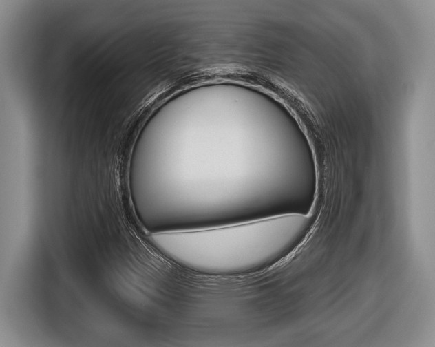 X0000116451305200912081405