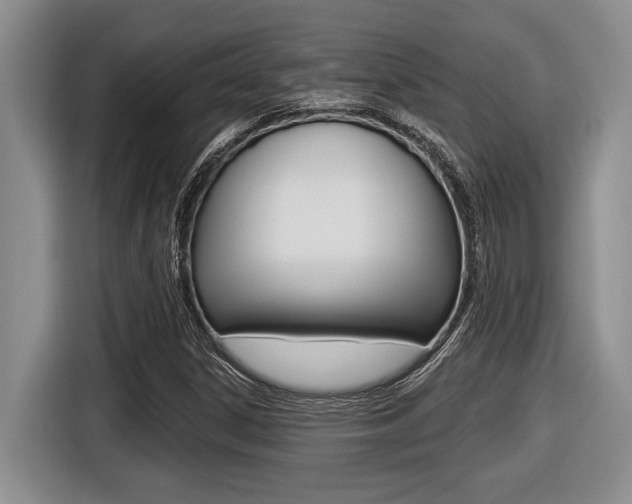 X0000116451306200912081405