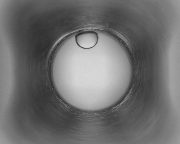 X0000116451310200912081405