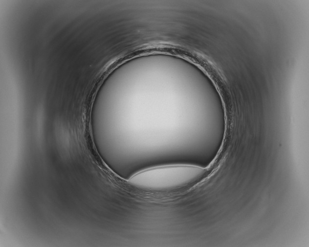 X0000116451313200912081405
