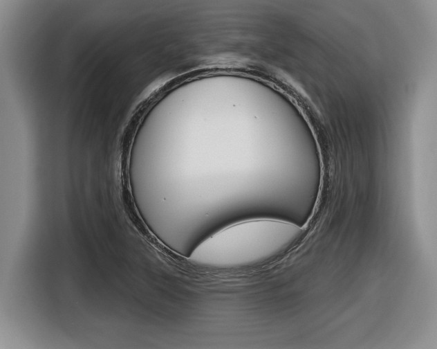 X0000116451315200912081405