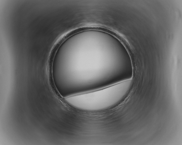 X0000116451319200912081405
