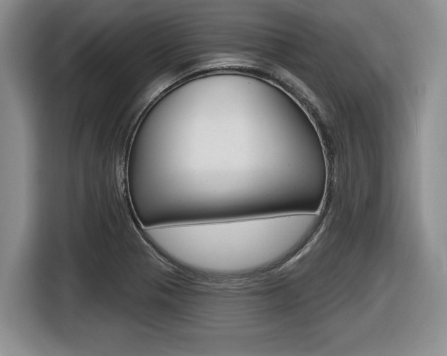 X0000116451321200912081405