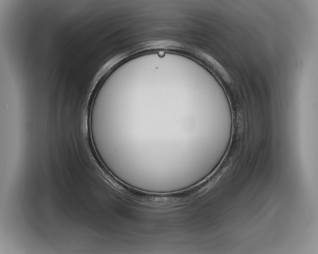 X0000116451322200912081405