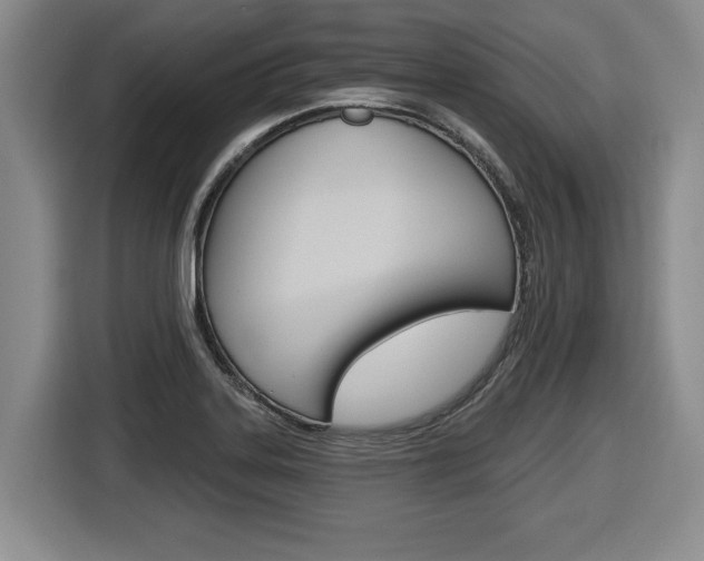 X0000116451323200912081405