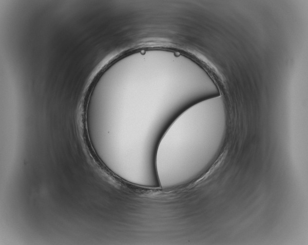 X0000116451325200912081406