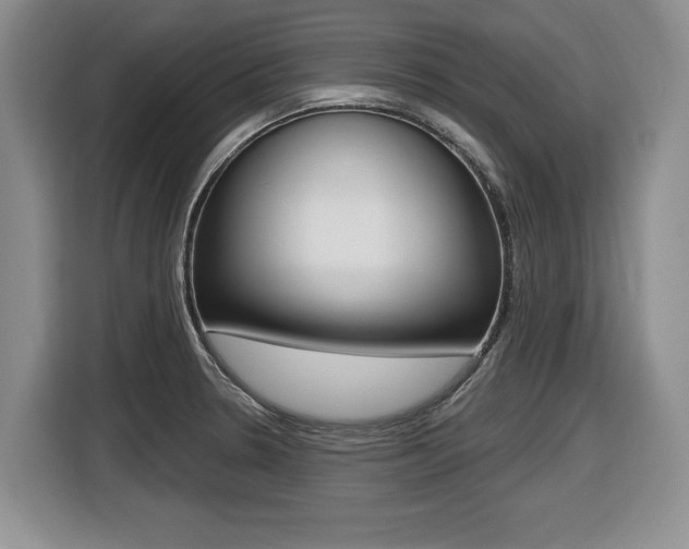 X0000116451330200912081406