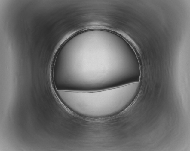X0000116451333200912081406