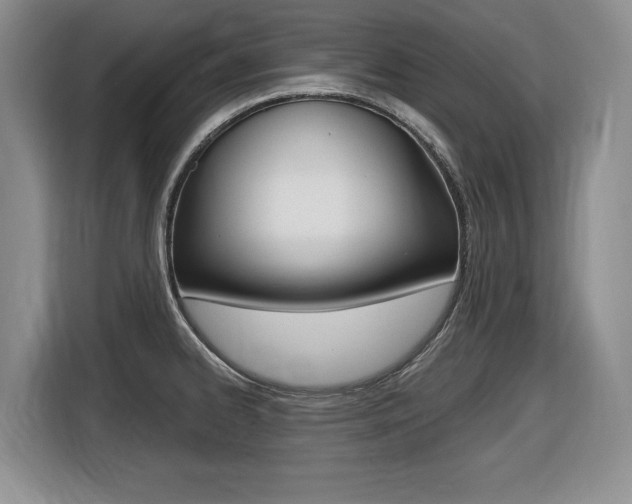 X0000116451334200912081406