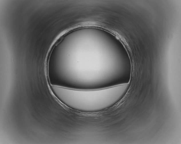 X0000116451342200912081406