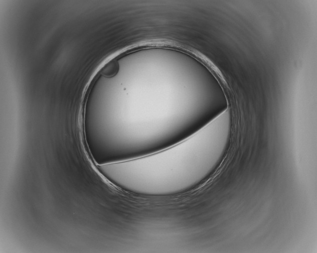 X0000116451343200912081406