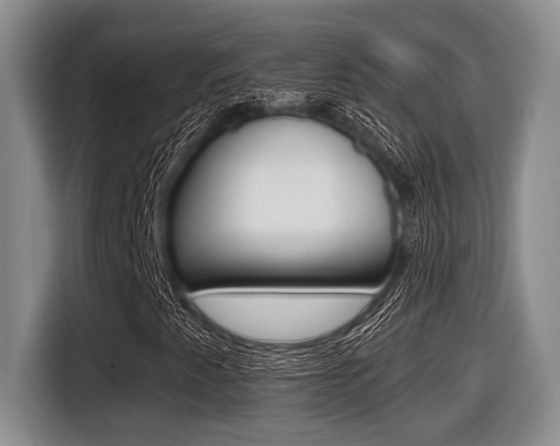 X0000116451345200912081405