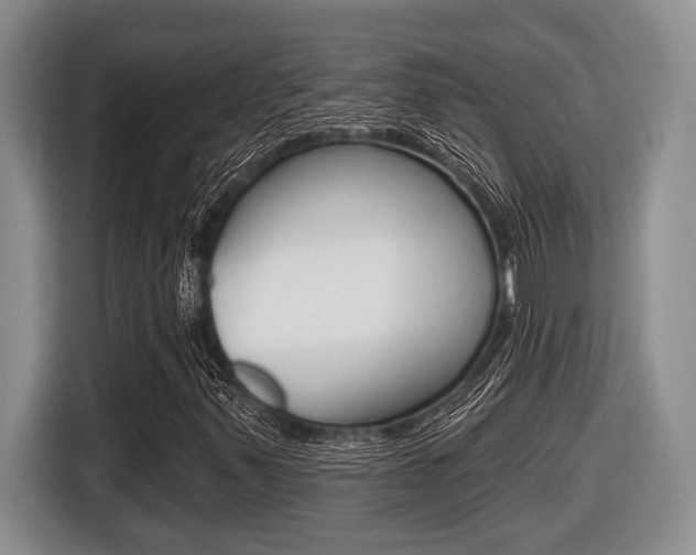 X0000116451347200912081405