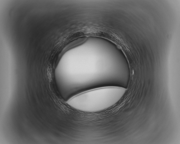 X0000116451348200912081405